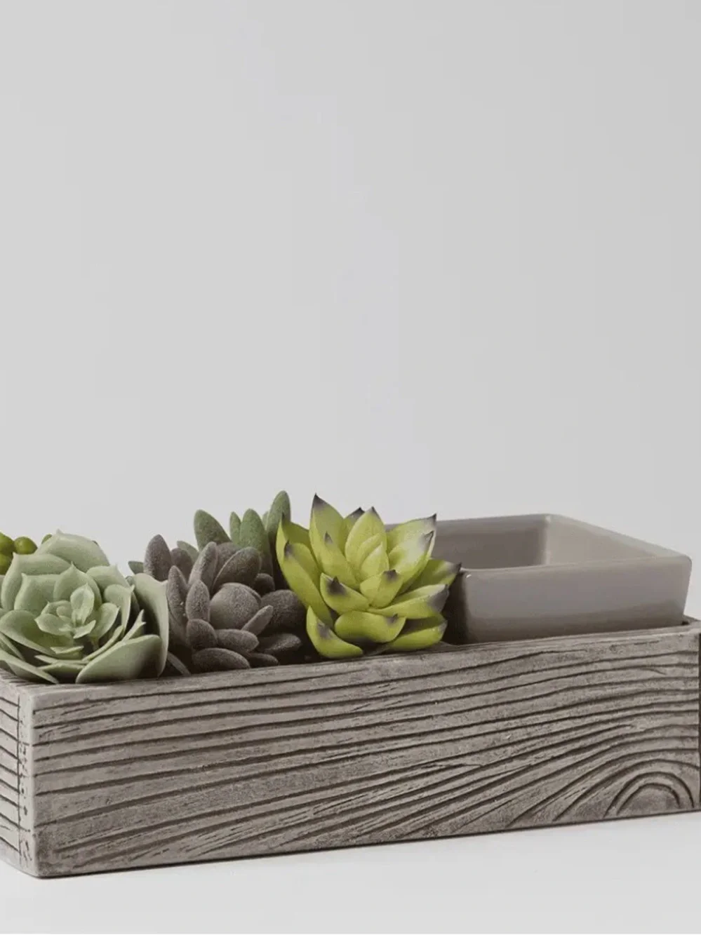 Scentsy Succulent Warmer